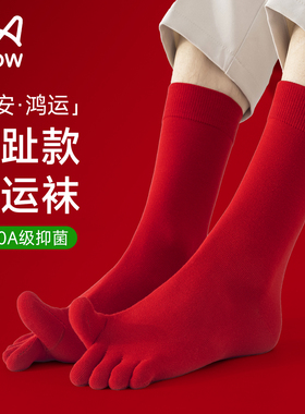 猫人本命年五指袜子女款秋冬季男士大红色中筒袜抗菌防臭分趾棉袜