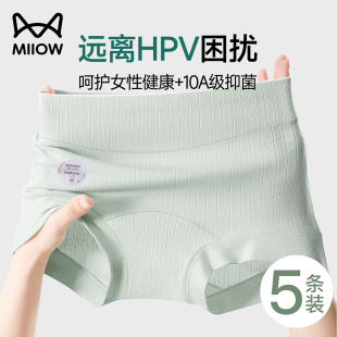 猫人预防HPV四角内裤 女纯棉10A抑菌加长裆全棉高腰无痕透气平角裤
