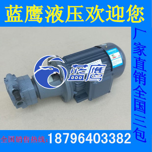 包邮 B40JZ B63JZ摆线油泵电机组滤油车摆线齿 B50JZ 新款