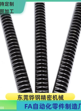 RGEAS RGEAM0.5 0.8-300-N  L尺寸  固定型 直齿条  替代米思米