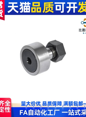 凸轮轴承随动器BPC01/02-d5/6/8/10/12/16/18/20/24/30A-PP