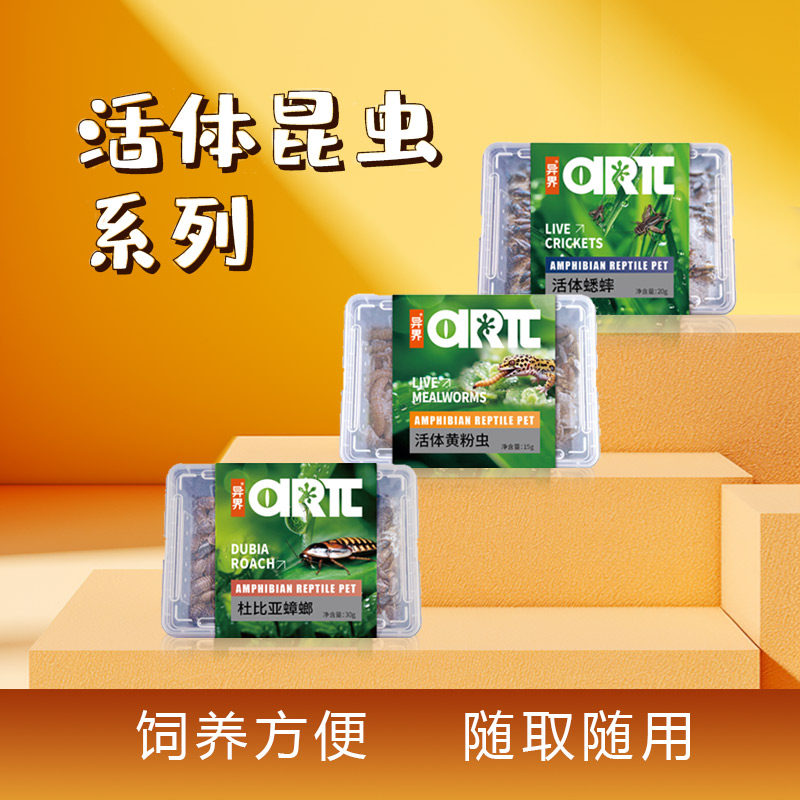 活体昆虫大麦虫蟋蟀杜比亚黄粉虫