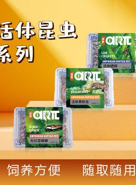 活体昆虫大麦虫蟋蟀杜比亚黄粉虫