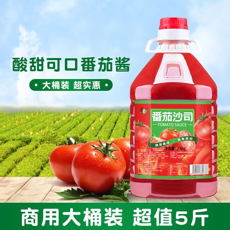 番茄酱番茄沙司挤压小瓶装家商用