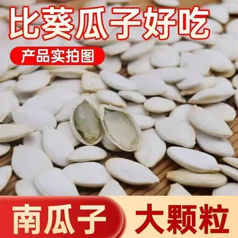 生南瓜子新货中片大片原味带壳生的南瓜子无漂白农家自种皮薄好嗑