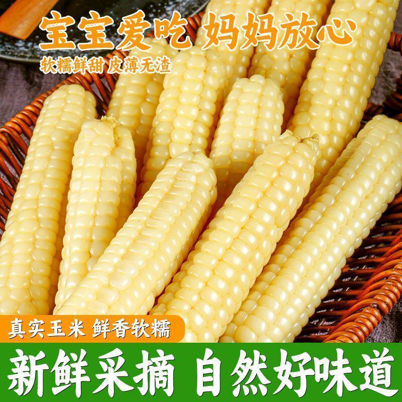 西双版纳拇指玉米儿童早餐杂粗粮