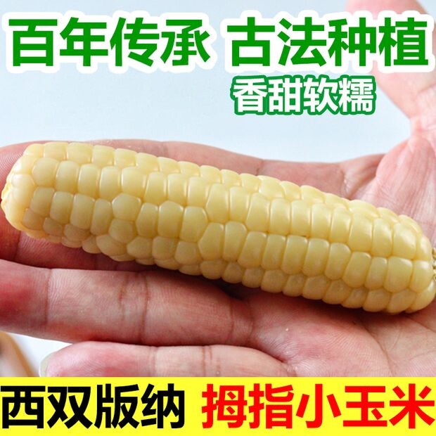 西双版纳拇指玉米儿童早餐杂粗粮
