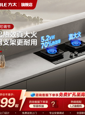 【新品】方太燃气灶TF29B双灶嵌入式家用天然气煤气灶官方旗舰店