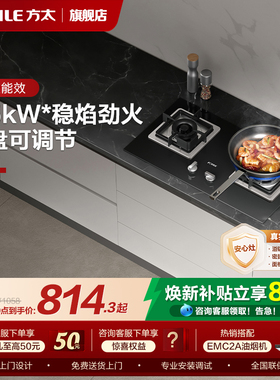 方太燃气灶02-TH33B煤气灶双灶家用猛火灶天然气嵌入式官方旗舰店