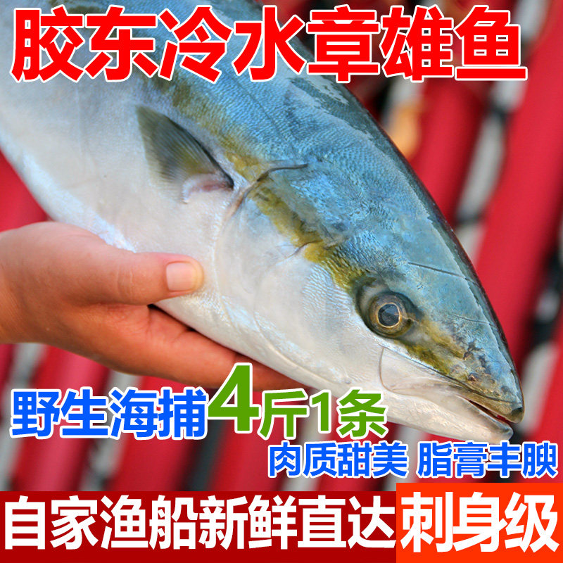 新鲜金枪鱼金师鰤鱼马鲛鲅鱼日本料理生鱼片油甘刺身红章雄平安鱼,水产肉类/新鲜蔬果/熟食,金枪鱼,淘宝优惠券,粉丝福利购,淘宝优惠卷