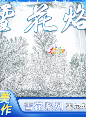 探询雪花烙印自然生长水晶种植结晶纯白色趣味科学物理小实验套装
