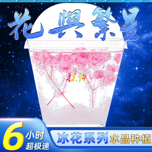 探询花与繁星6小时超极快速水晶种植冰花结晶趣味科学小实验套装