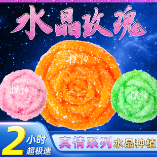探询水晶玫瑰2小时极快速种植物理结晶食品级趣味科学小实验套装