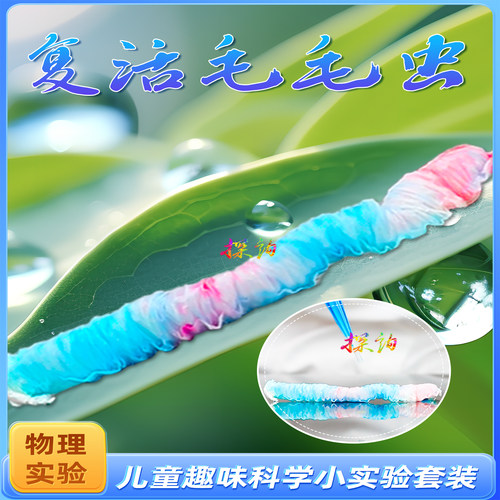 探询经典物理复活毛毛虫实验套装
