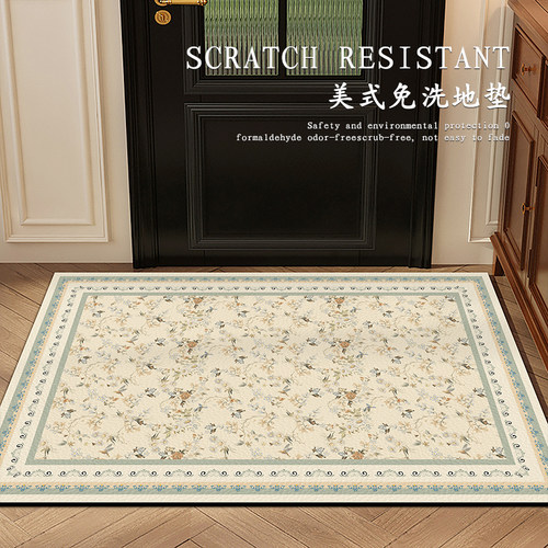 进门地毯美式防刮耐磨经久耐用