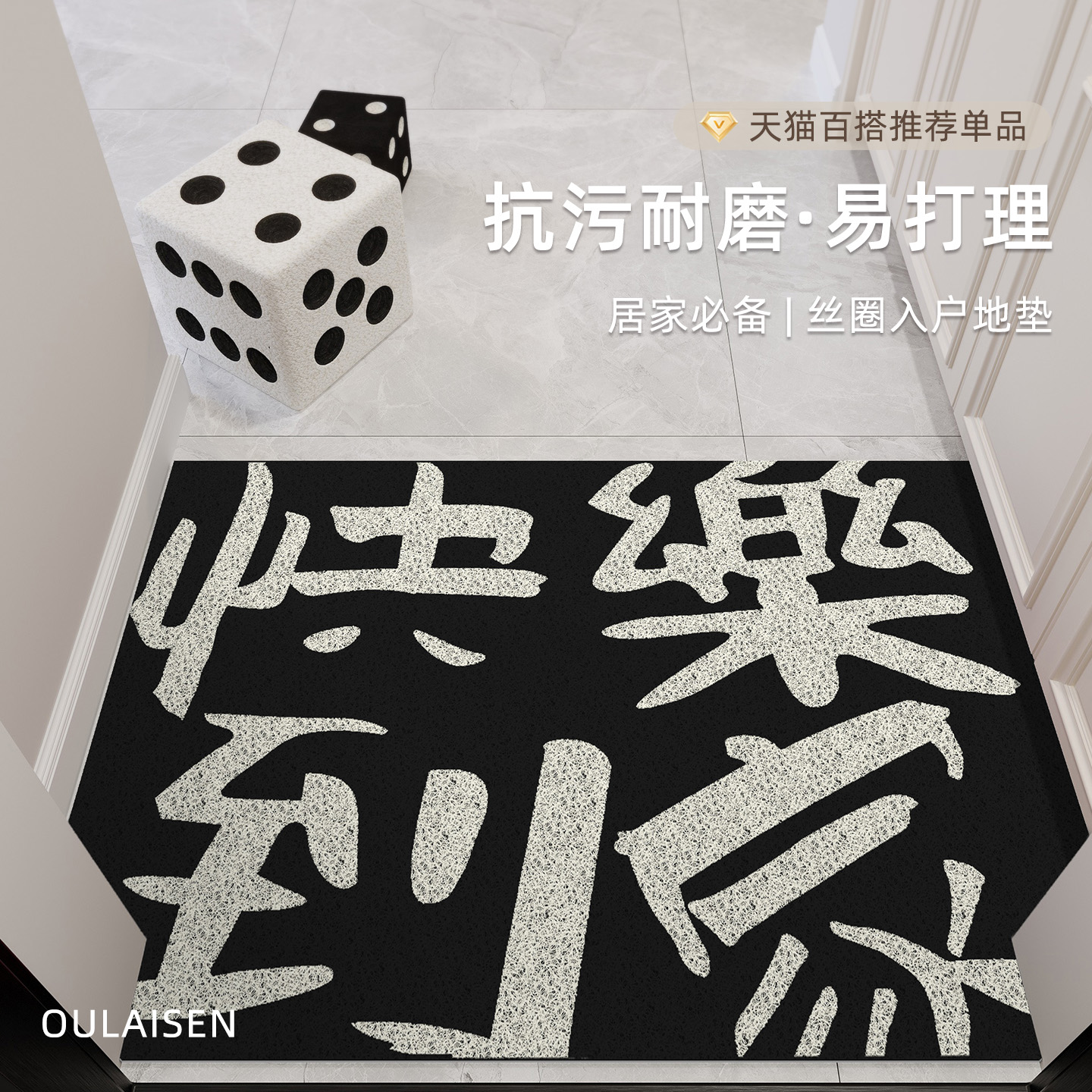 2025新款丝圈入户门垫耐脏防滑垫