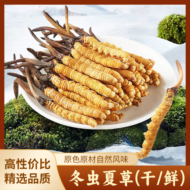 冬虫夏草干货9g精选品质原色原材自然风味高性价比