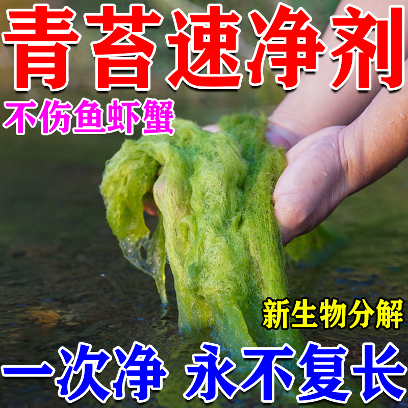 青苔清除剂鱼池除藻去苔剂速杀青苔绿水去除剂青苔一次净不伤鱼虾