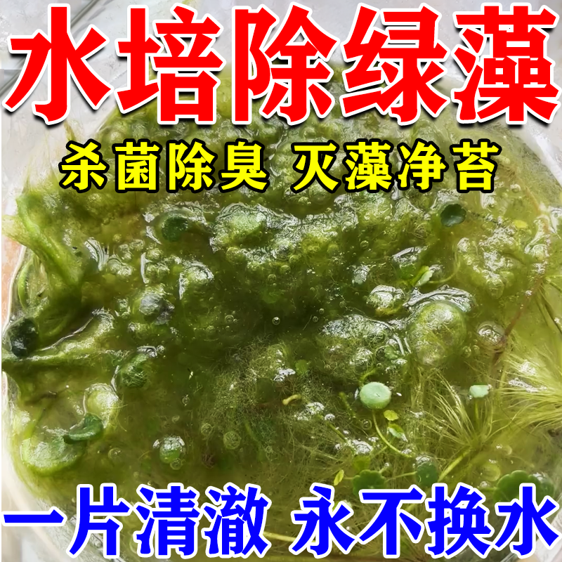 水培植物除绿藻剂净水片除臭杀菌消毒除青苔碗莲睡莲鲜花保鲜剂