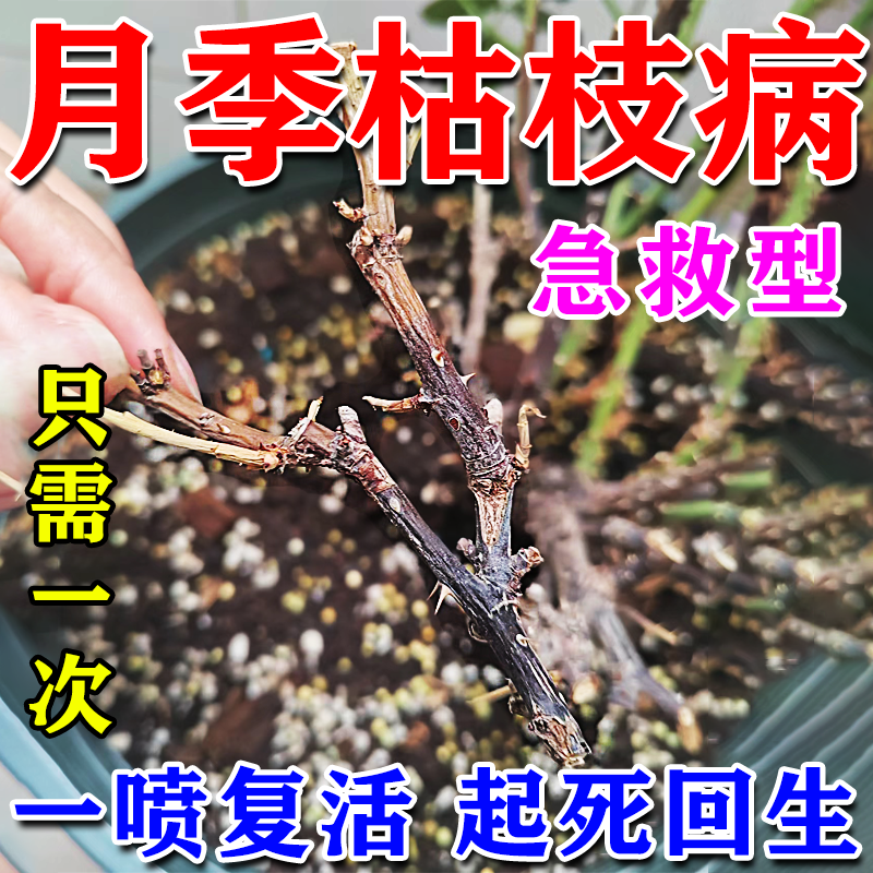 一喷全好】月季花病虫害专用药