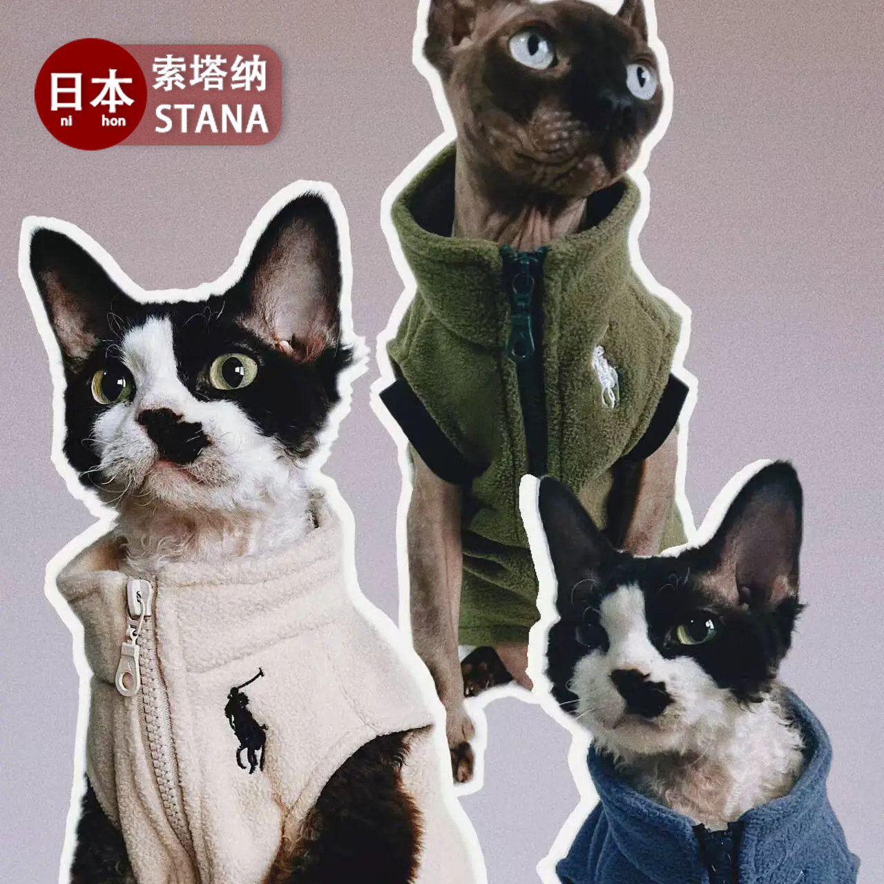 日本索塔纳进口STAN德文猫衣服无毛猫猫衣服秋冬新款潮流加厚马甲
