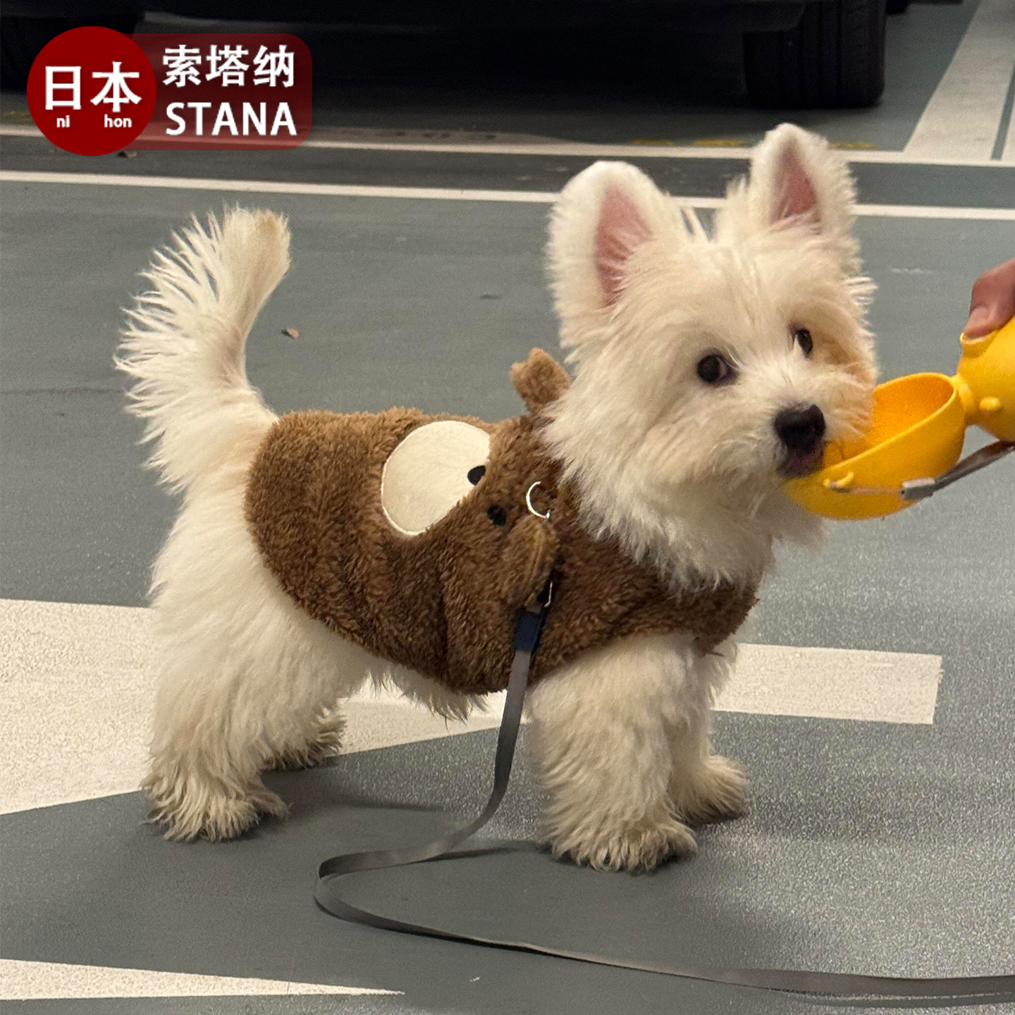 日本2025新款宠物狗狗衣服