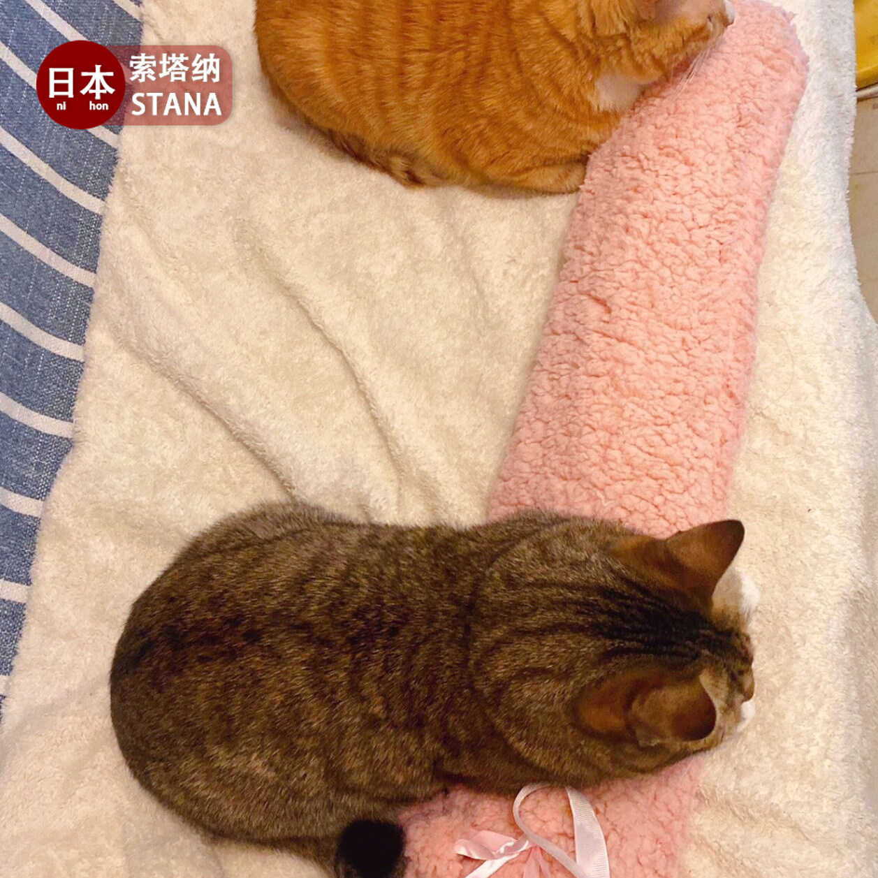 日本宠物专用宠物热水袋注水袋