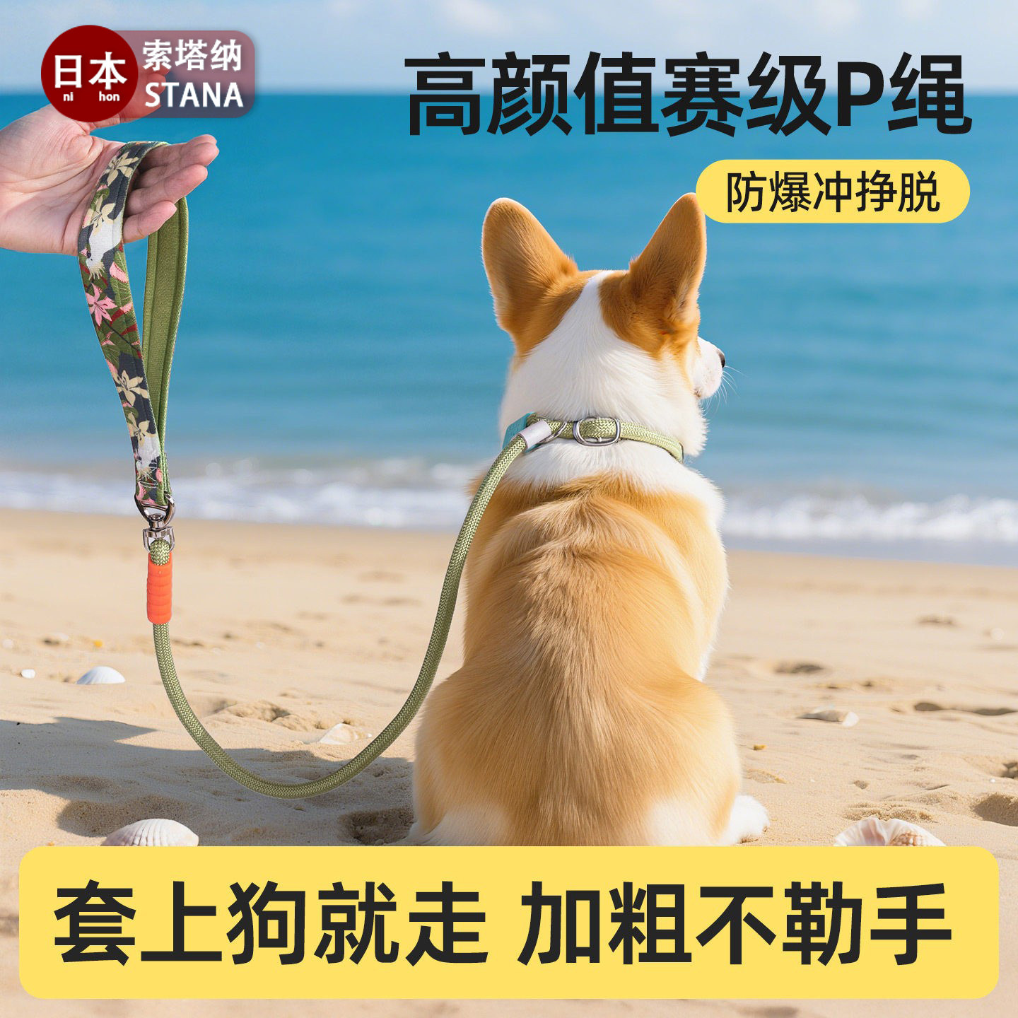 日本P绳狗狗牵引绳中小型犬外出遛狗链子大狗防爆冲打结宠物牵引