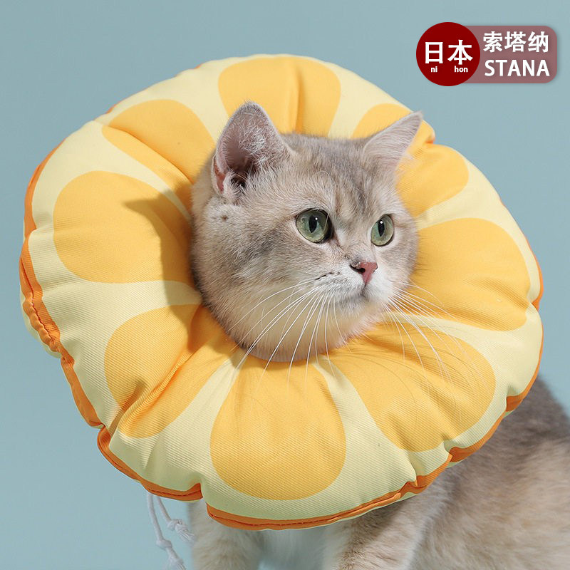 日本猫咪伊丽莎白圈幼猫防舔咬耻辱项圈头套狗狗脖圈绝育脖套宠物