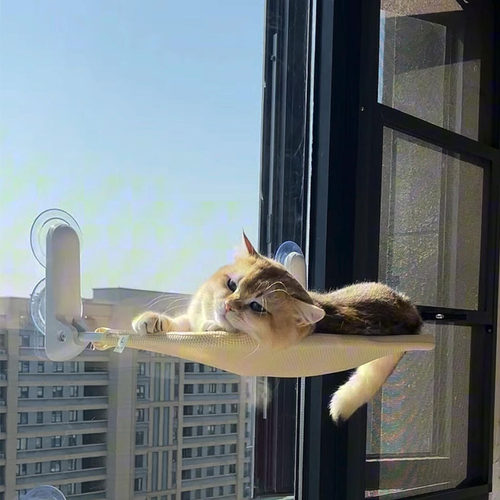 猫吊床吸盘悬挂式猫窝四季通用