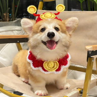 宠物新年财神装扮猫咪帽子围脖套装红色喜庆狗狗拜年配饰露耳头套