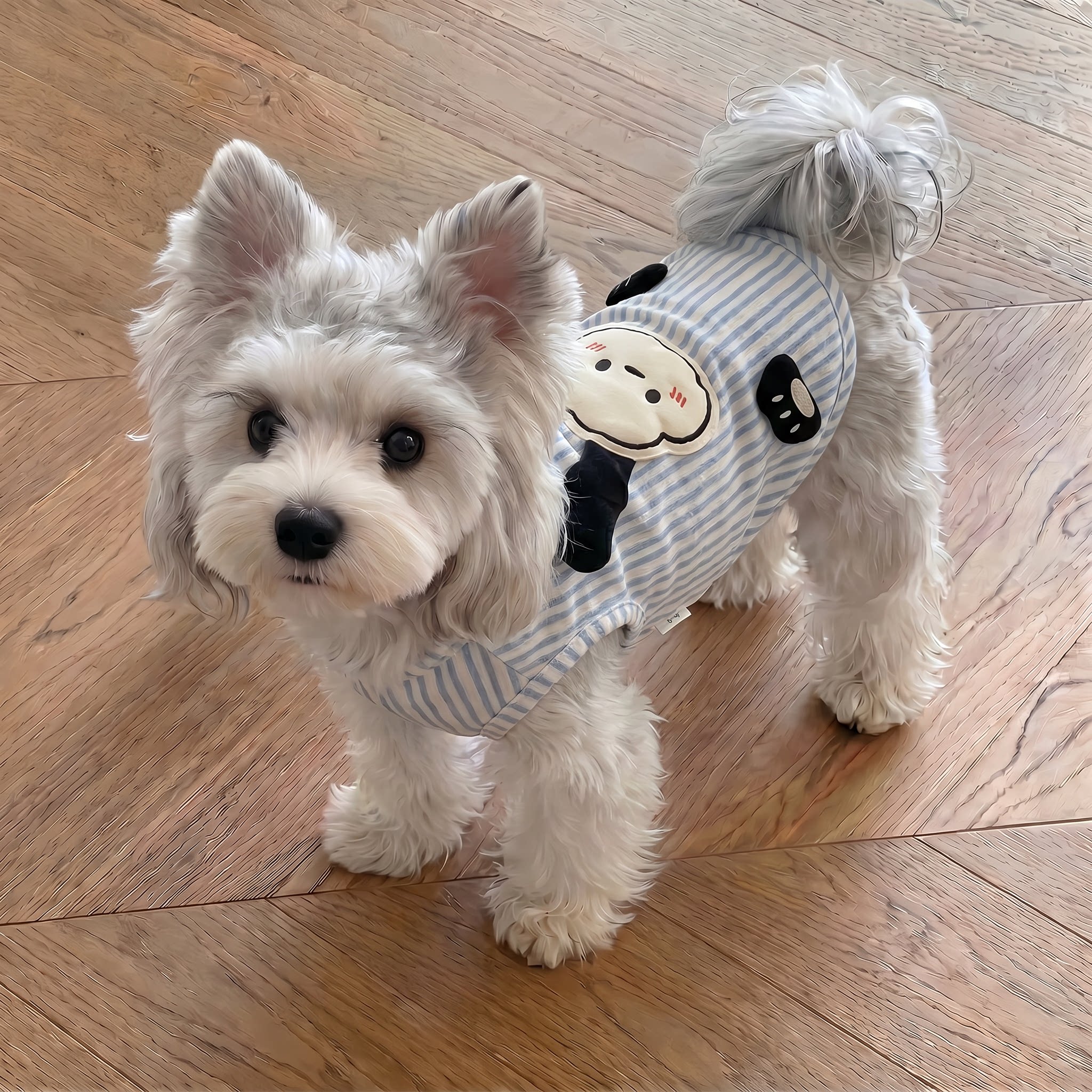 可爱卡通宠物狗狗衣服小型犬泰迪比熊雪纳瑞猫咪夏季薄款透气背心