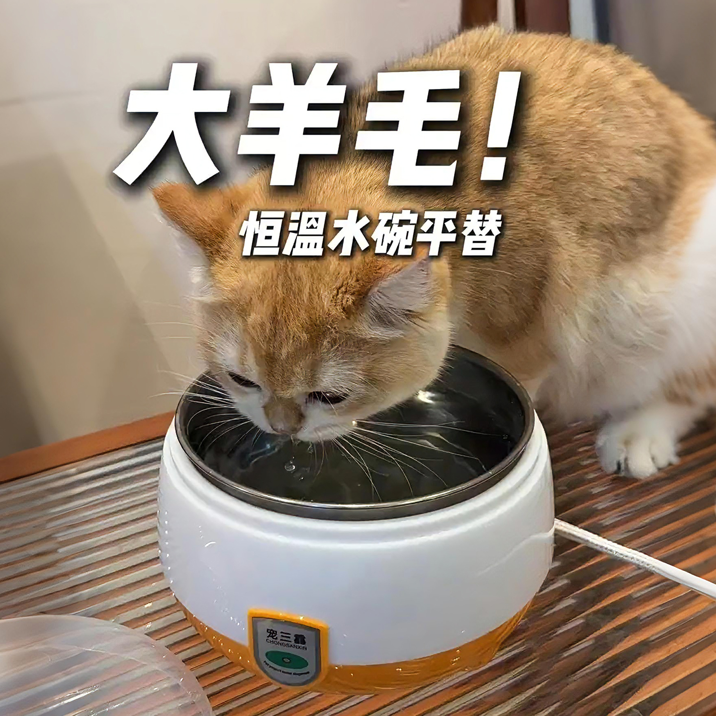 【宠物喝水好物】恒温猫咪饮水机