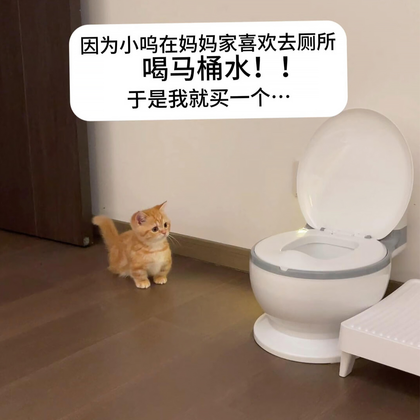 【宠物骗水神器】马桶造型水碗