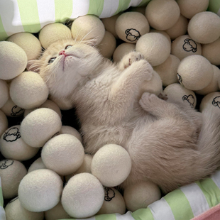 猫玩具宠物静音羊毛球追逐互动神器消耗体力猫咪猎物球小猫丰容球