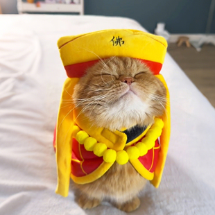 唐三藏袈裟宠物猫咪衣服狗狗变身装小型犬泰迪比熊外套拍照道具