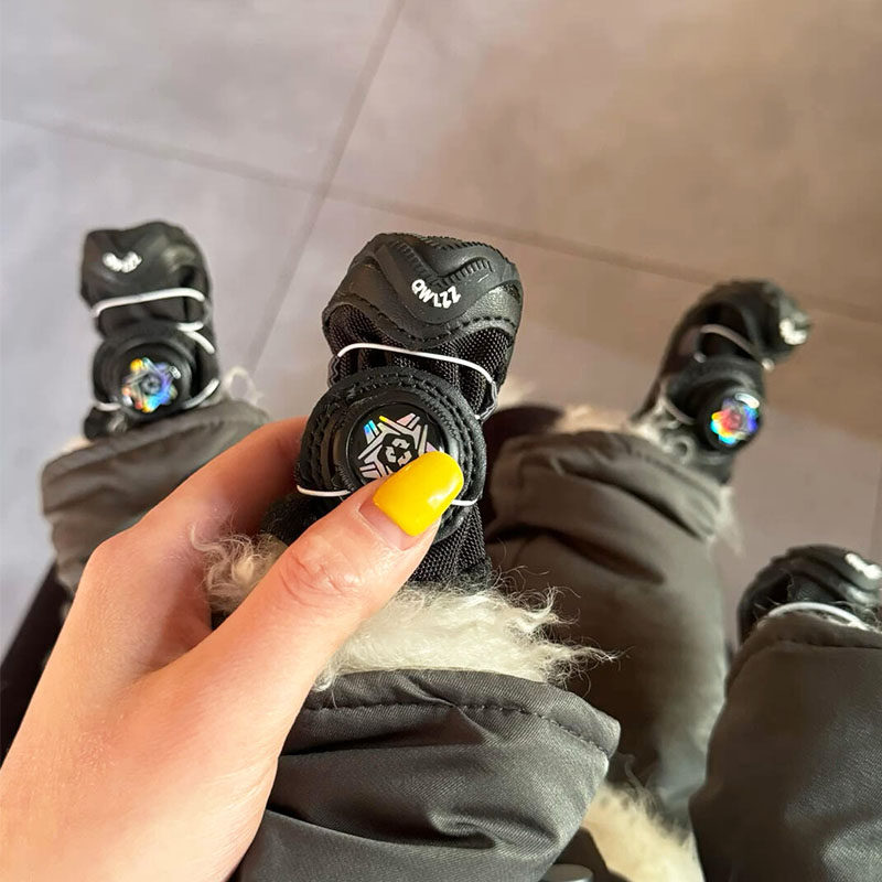 小狗鞋子都出boa了！！狗狗鞋子