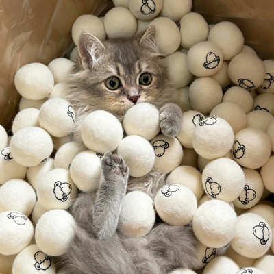 猫咪玩具羊毛球！缓解猫咪焦虑！