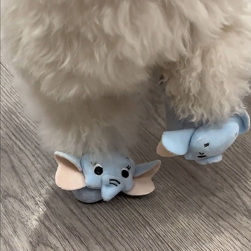 可爱玩偶宠物狗狗猫咪袜子脚套