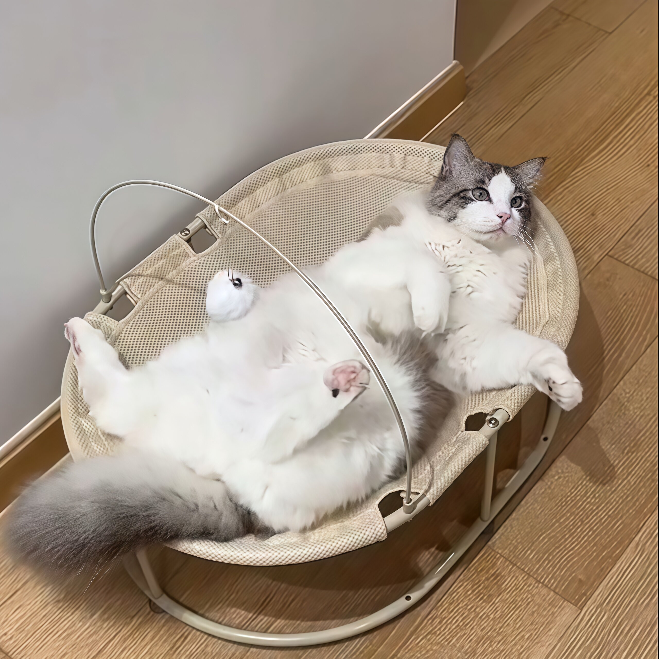 宠物圆形猫窝夏季透气防潮离地铁艺猫床四季通用猫吊床网布行军床