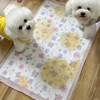 宠物尿垫一次性100片宠物用品