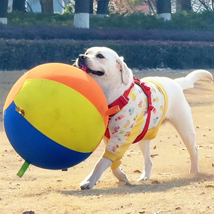 狗玩具球巨型训练球宠物游戏球耐咬耐磨大球自嗨解闷神器金毛边牧