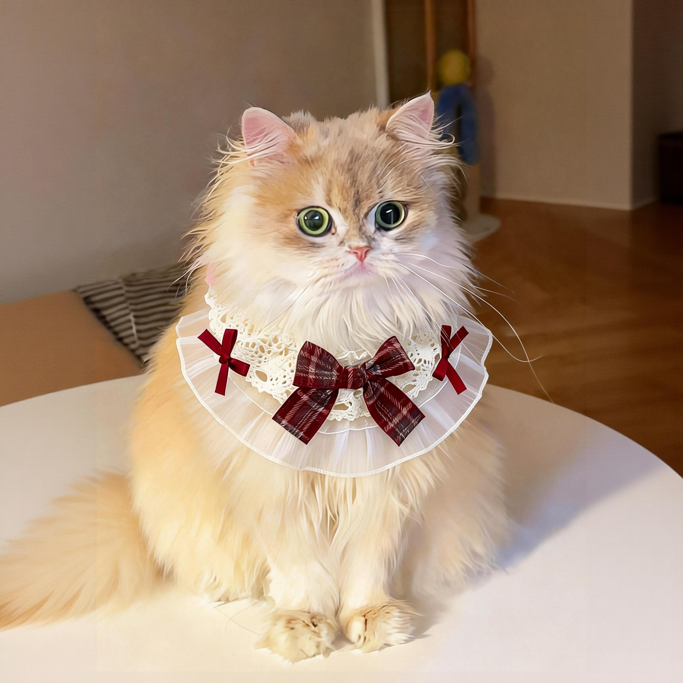 ins风猫咪口水巾宠物围脖小狗狗围兜金渐层布偶可爱配饰拍照神器,宠物/宠物食品及用品,围巾/口水巾,淘宝优惠券,粉丝福利购,淘宝优惠卷