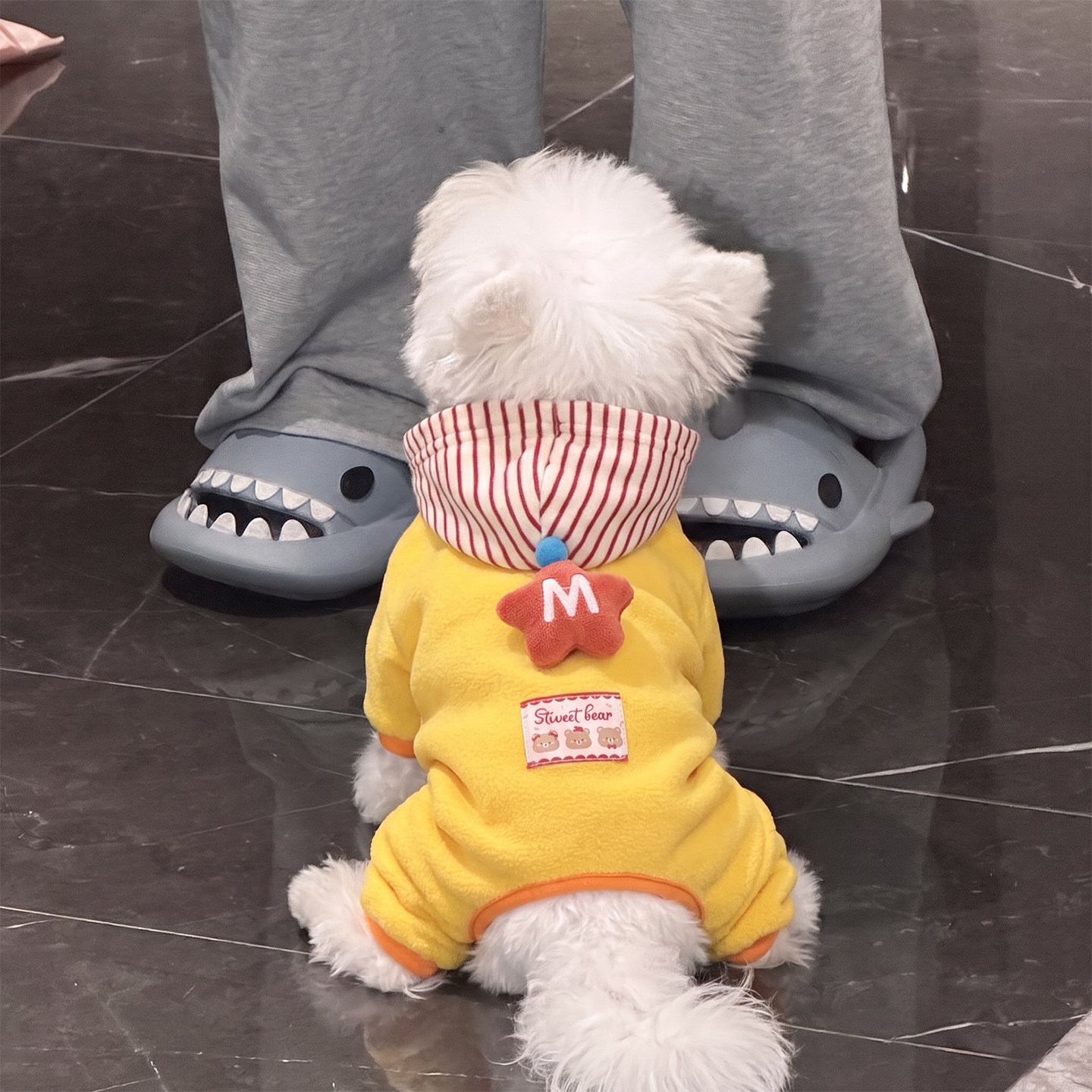小狗狗衣服秋冬装四脚加绒加厚保暖防寒泰迪比熊小型犬宠物外出服