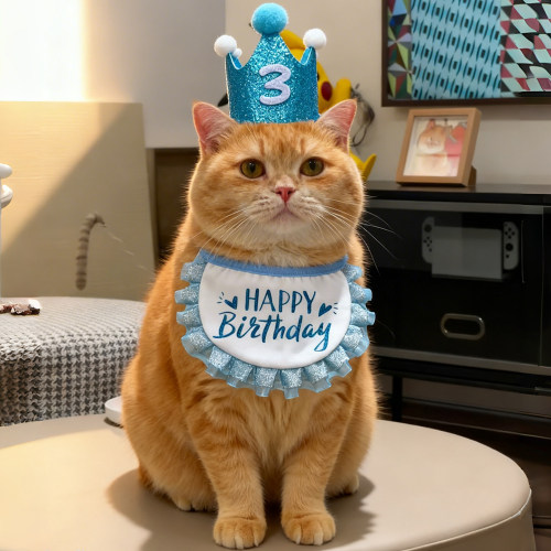 【萌宠OOTD】生日派对仪式感穿搭