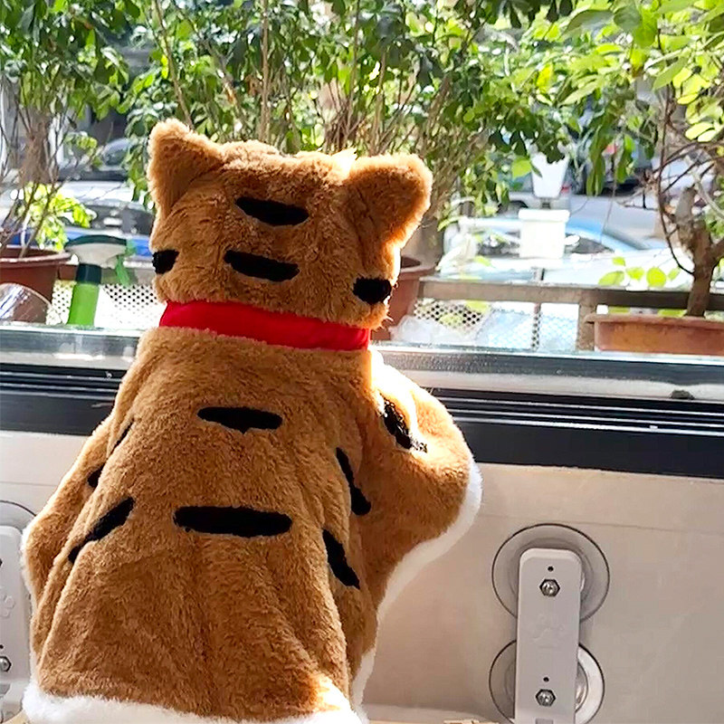 猫咪冬天衣服老虎披风变装斗篷