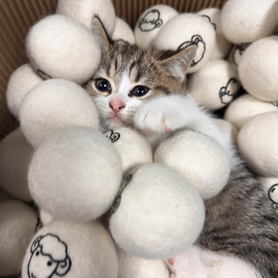 猫咪玩具自嗨解闷追逐猎物球小猫丰容羊毛球稳定情绪神器耐抓耐咬