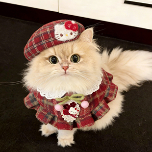 红色格子猫咪衣服围脖帽子套装小型犬狗狗口水巾披肩可爱公主装扮