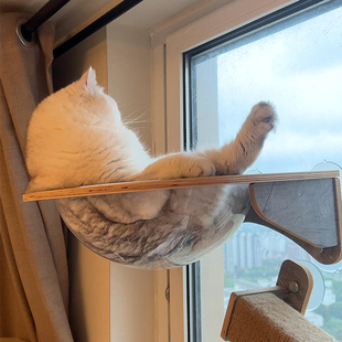 太空舱猫窝玻璃吸盘式免打孔猫吊床猫爬架实木麻绳跳台悬空猫墙