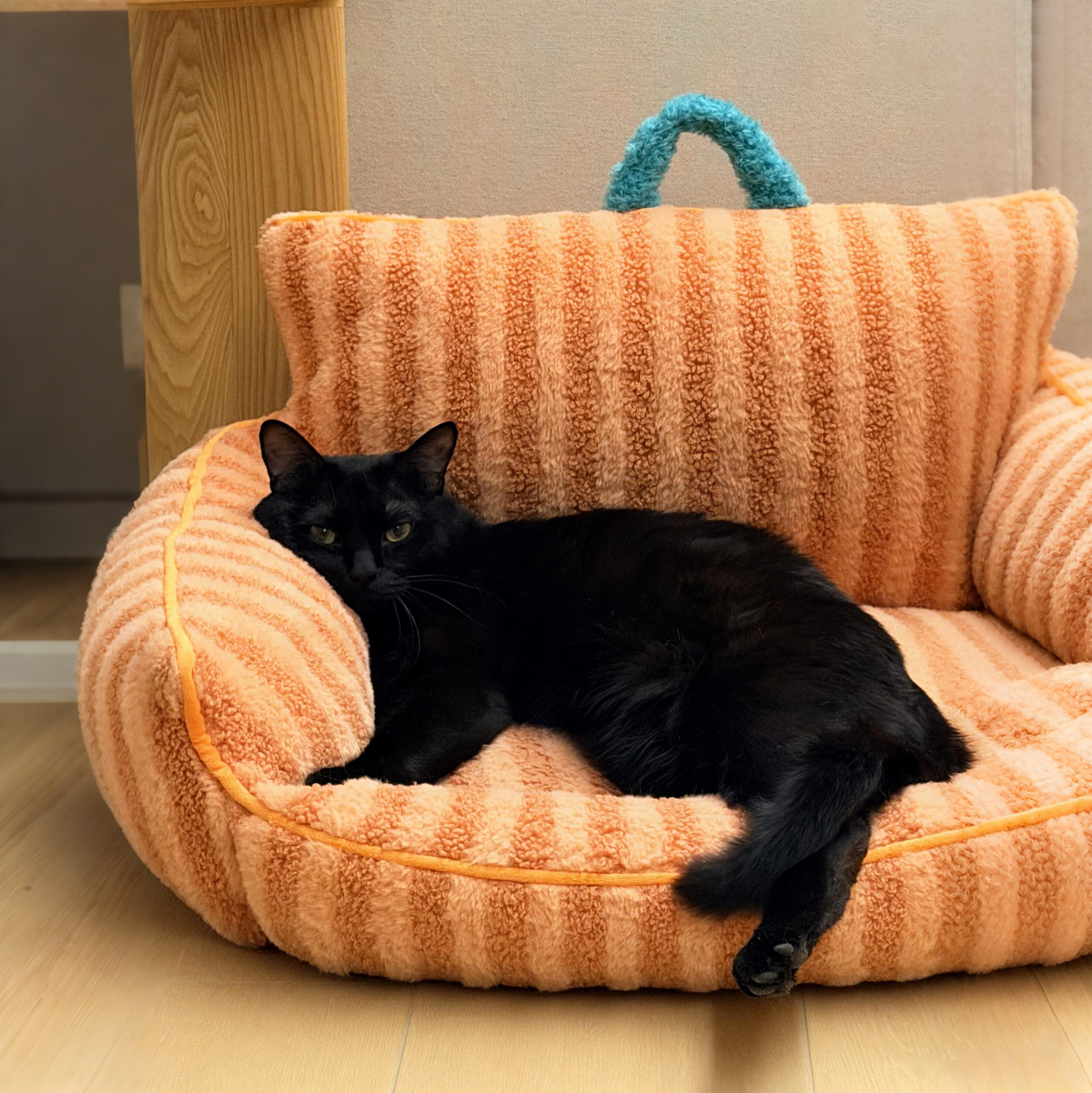 猫沙发狗窝猫窝冬加厚保暖宠物床可爱软绒垫子四季通用可拆洗睡垫,宠物/宠物食品及用品,猫窝/屋/帐篷/沙发,淘宝优惠券,粉丝福利购,淘宝优惠卷